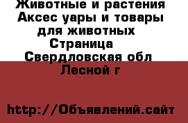 Животные и растения Аксесcуары и товары для животных - Страница 2 . Свердловская обл.,Лесной г.